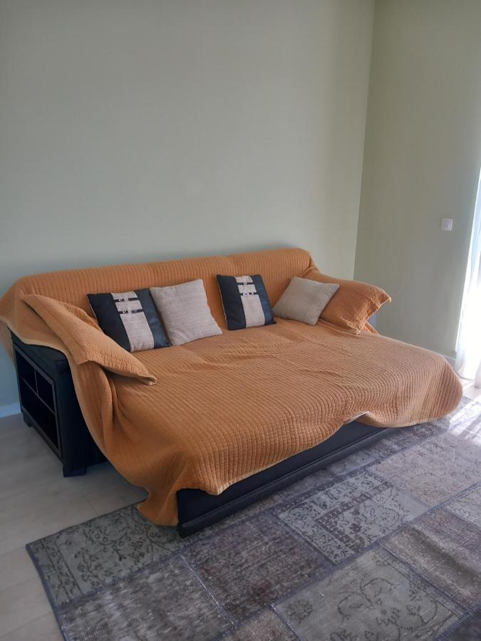 Appartamento Herastrau *